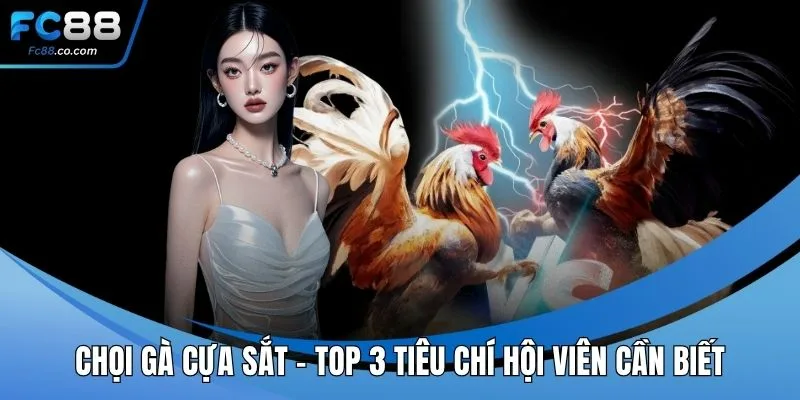Chọi gà cựa sắt