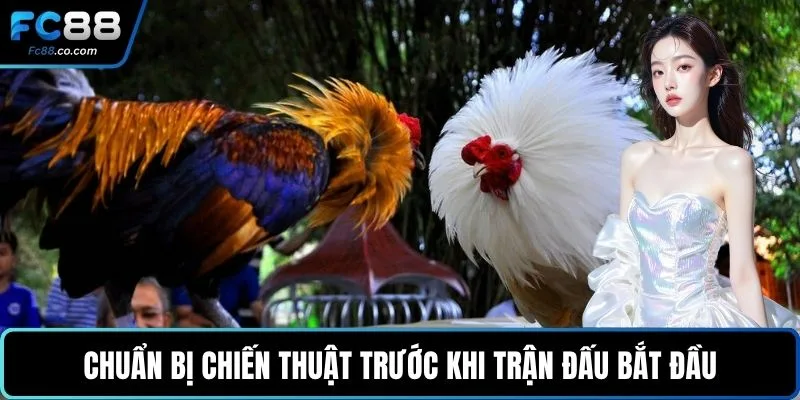 Chuẩn bị chiến thuật trước khi trận đấu bắt đầu