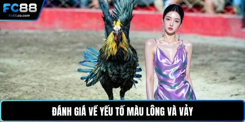 Đánh giá về yếu tố màu lông và vảy