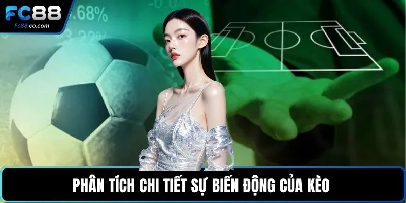 Phân tích chi tiết sự biến động của kèo 