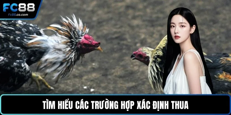 Tìm hiểu các trường hợp xác định thua