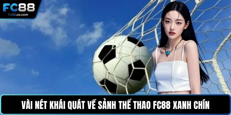 Vài nét khái quát về sảnh thể thao FC88 xanh chín