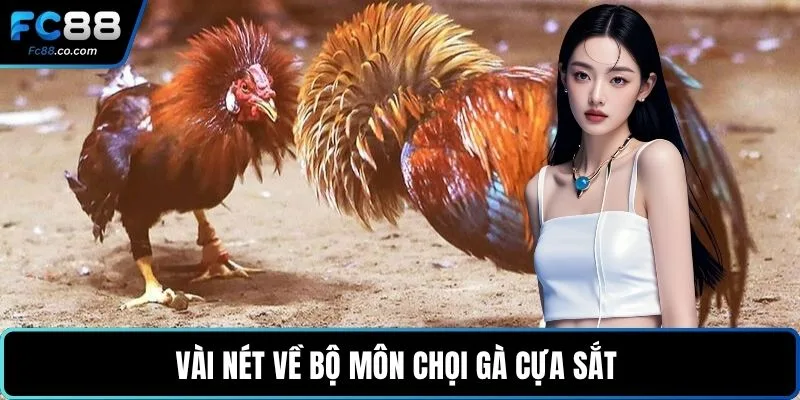 Vài nét về bộ môn chọi gà cựa sắt 